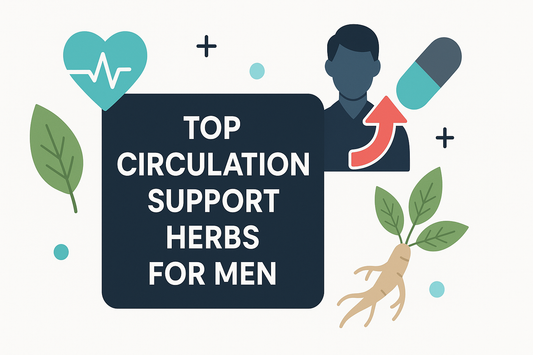 7 Powerful Top Circulation Support Herbs For Men To Boost Your Vitality